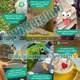 Imagen para el artículo titulado WhatsApp Status: Así funcionan las actualizaciones de estado de WhatsApp al estilo Snapchat